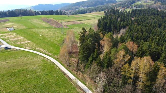 40 arów działki budowlanej w Paszynie