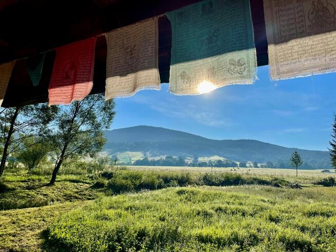 CARPATHIAN HUB Noclegi - Agroturaystyka / Bieszczady