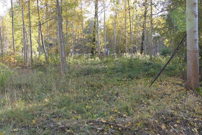 Halinów, Cisie, dz. budowlana 900 m2, MPZP