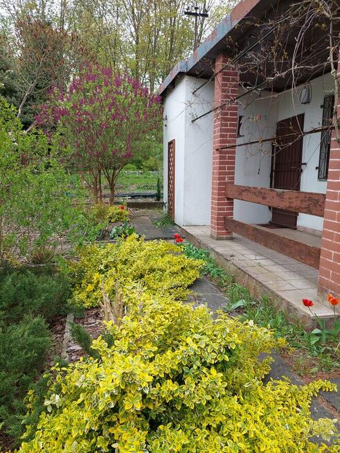 Działka RODO Myślęcinek