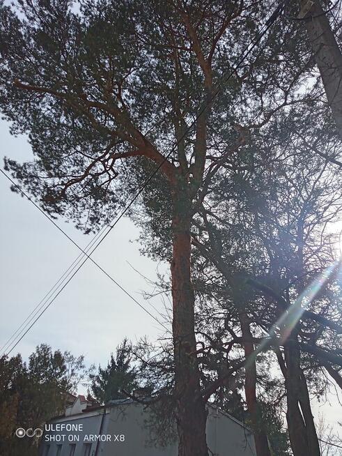 Sprzątanie działek po zimie itp