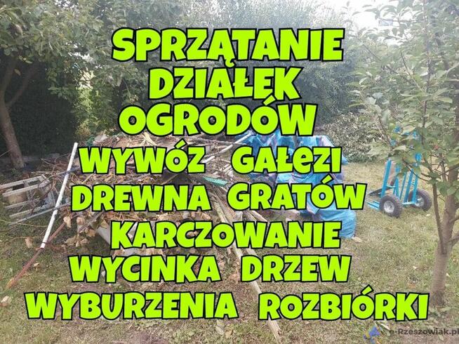 Pielęgnacja ogrodu