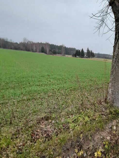 Działki pod produkcję rolną, produkcję siana, lasy