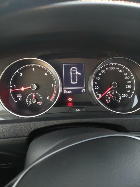 Vw Golf 2020 Salon Polska