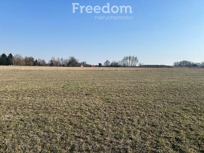 Na sprzedaż działka we wsi Krzywe gmina Prostki