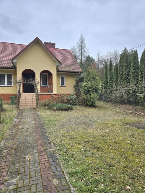 Dom z ogrodem przy lesie Wólka Leśna