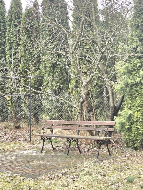 Dom z ogrodem przy lesie Wólka Leśna