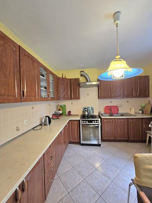 Dom z ogrodem przy lesie Wólka Leśna