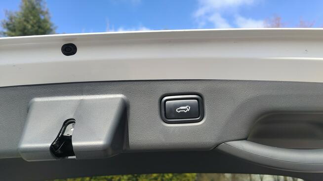 Kia Niro Bogata wersja