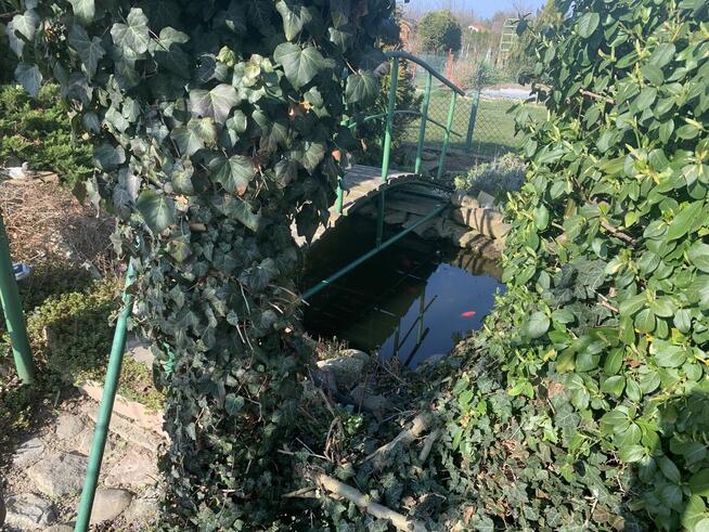 Sprzedam działkę ogrodowa Pierwiosnek.