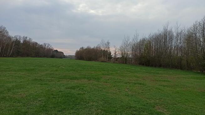 DZIAŁKA W OTULINIE LASÓW -GRĄDY STARE GMINA GRODZIEC