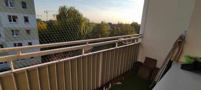 Wynajmę pokoje w mieszkaniu na Os. Chrobrego dla studentów