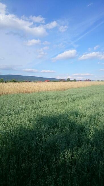 Sprzedam Działkę rolno- budowlana zagrodowa