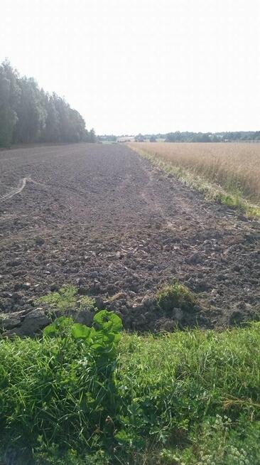 Sprzedam Działkę rolno- budowlana zagrodowa