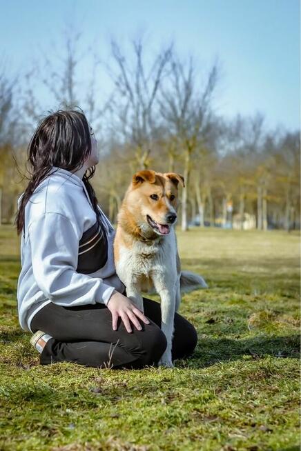 Maniek-bialo rudy psiak czeka na cierpliwy i wyrozumiały dom