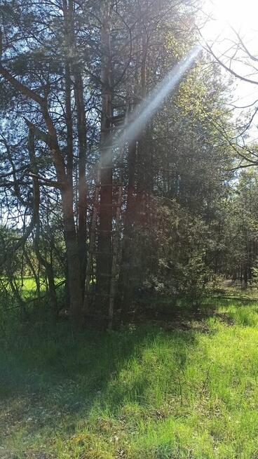 DZIAŁKA W OTULINIE LASÓW -GRĄDY STARE GMINA GRODZIEC