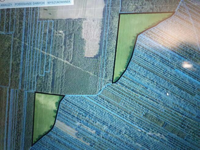Sprzedam działkę rolną w Bedlenku 3,05 ha gm. Końskie
