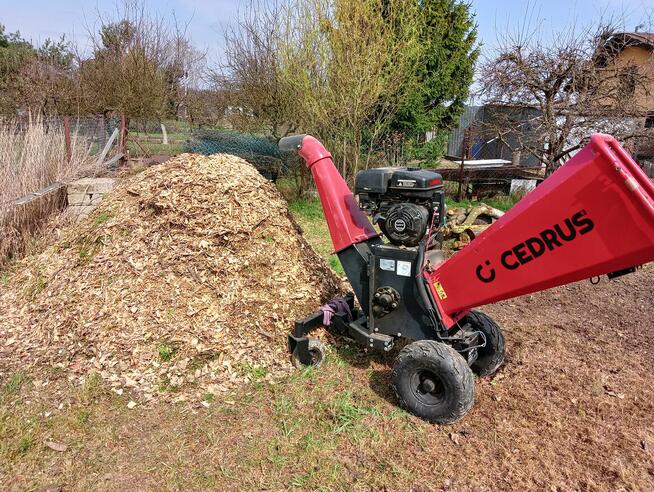 Rozdrabnianie Wycinka Gałęzi Rębak Zrębkowanie Mielenie