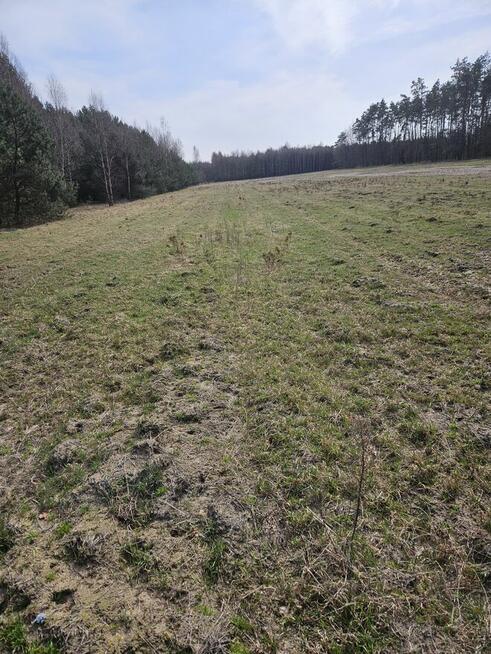 Sprzedam działkę rolną w Bedlenku 4,11 ha gm. Końskie