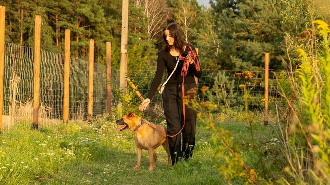 Aza - wesoła, niekonfliktowa, grzeczna sunia!