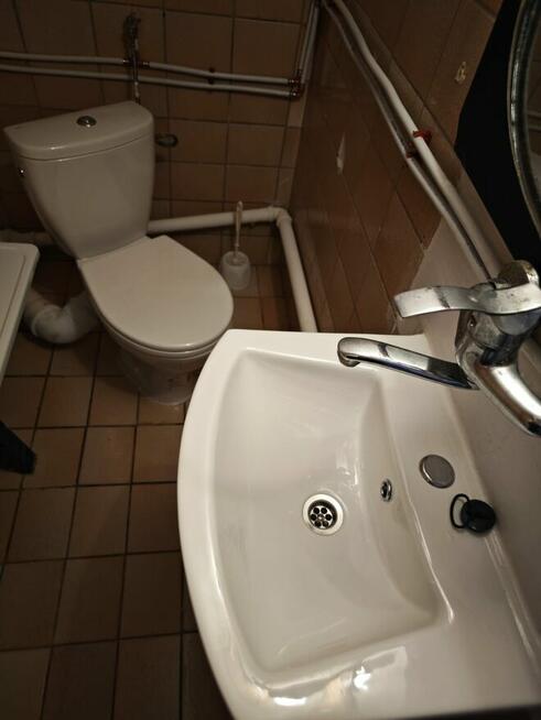 Wynajmę kawalerkę w bliźniaku, Gumieńce