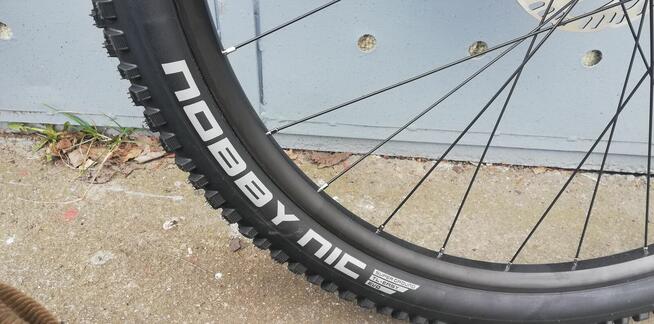 rower hardtail 29 RADON