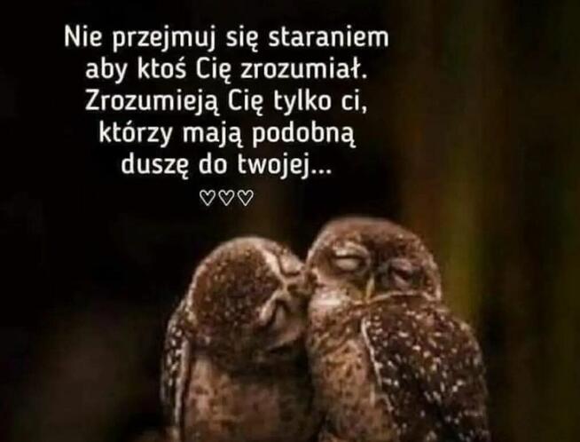 Szukam dziewczyny na stałe by już nie szukać...ty25do42lat