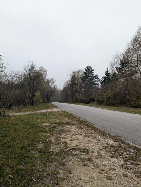 Dwie działki ROD 600 m2 ul. Wschodnia blisko Auchan