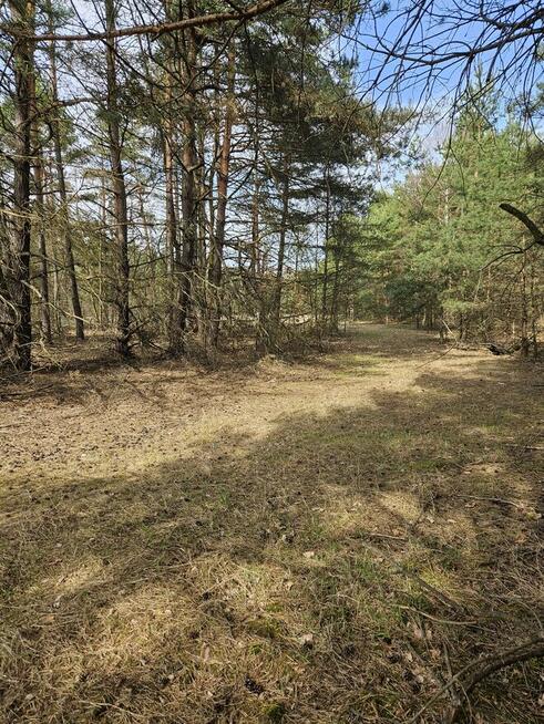 Sprzedam działkę rolną w Smykowie 2,13 ha gm. Fałków