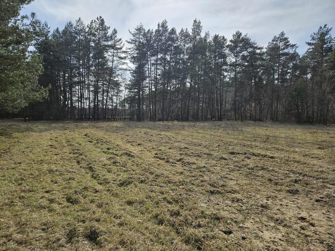 Sprzedam działkę rolną w Bedlenku 3,05 ha gm. Końskie