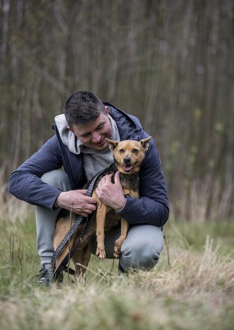 SONIA czeka na dom zbyt długo