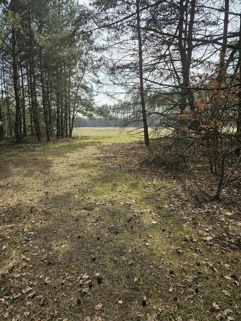 Sprzedam działkę rolną w Smykowie 2,13 ha gm. Fałków