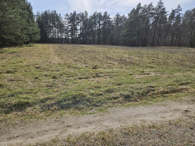 Sprzedam działkę rolną w Bedlenku 3,05 ha gm. Końskie