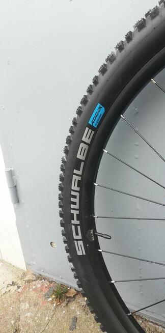 rower hardtail 29 RADON