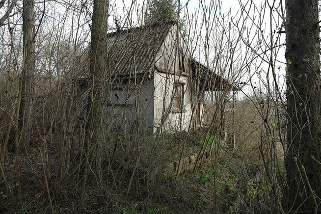 Dwie działki ROD 600 m2 ul. Wschodnia blisko Auchan