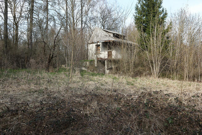 Dwie działki ROD 600 m2 ul. Wschodnia blisko Auchan