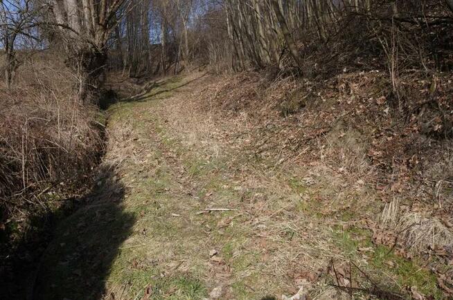 Sprzedaż działki Wola Lubecka-Góra Kokocz, gmina Ryglice, ta