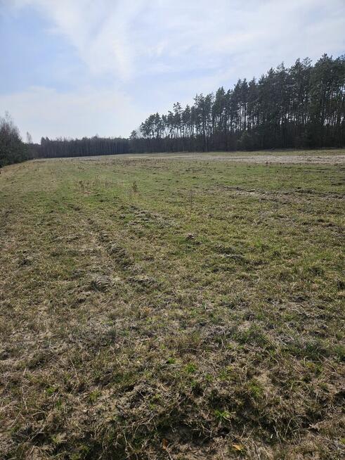 Sprzedam działkę rolną w Smykowie 2,13 ha gm. Fałków