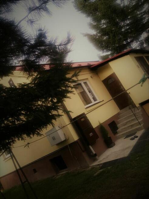 wynajmę mieszkanie