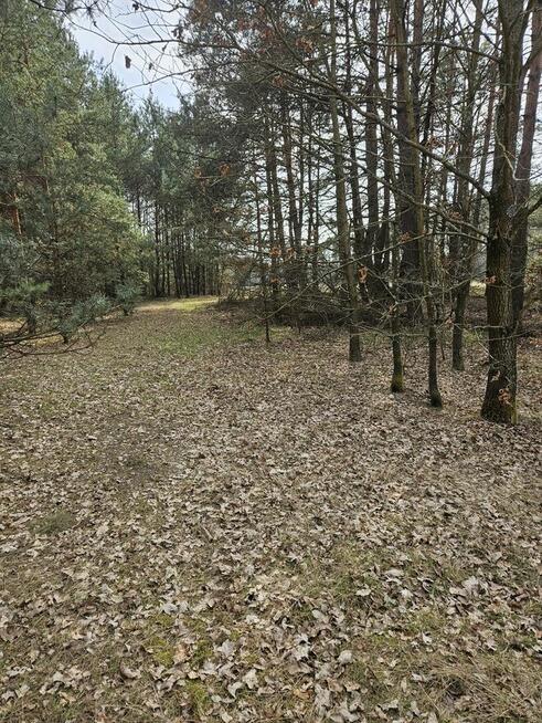 Sprzedam działkę rolną w Smykowie 2,13 ha gm. Fałków