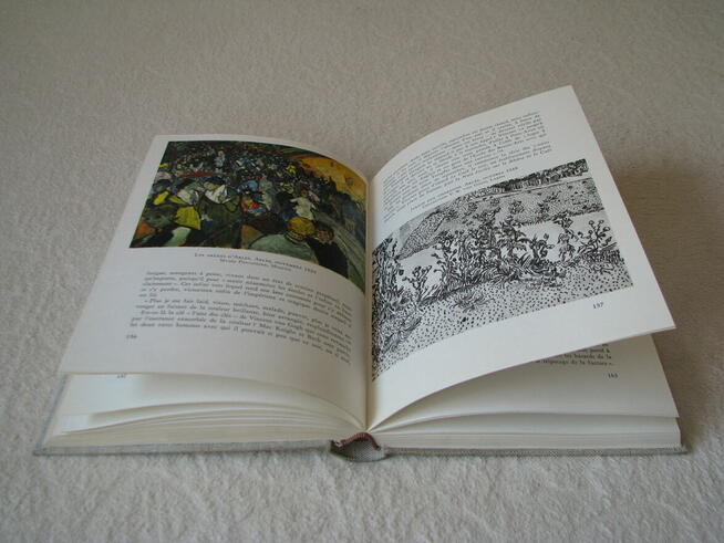 Van Gogh, Pierre Cabanne, publikacja w języku francuskim