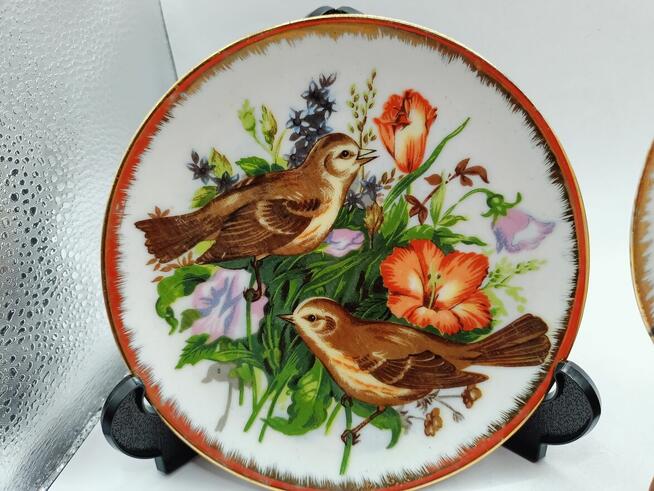 Dwa razy talerz kolekcjonerski ptaki na kwiatowym łąkowym tl