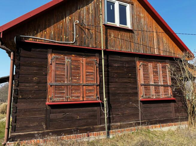 Klimatyczny dom pod lasem, OCIĘTE, 230 000 zł