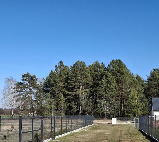 Działka rekreacyjna z nowoczesnym domkiem nad Narwią Stary L