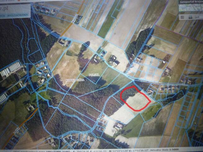 Duża działka budowlana Ostrzeszów- Kobyla Góra