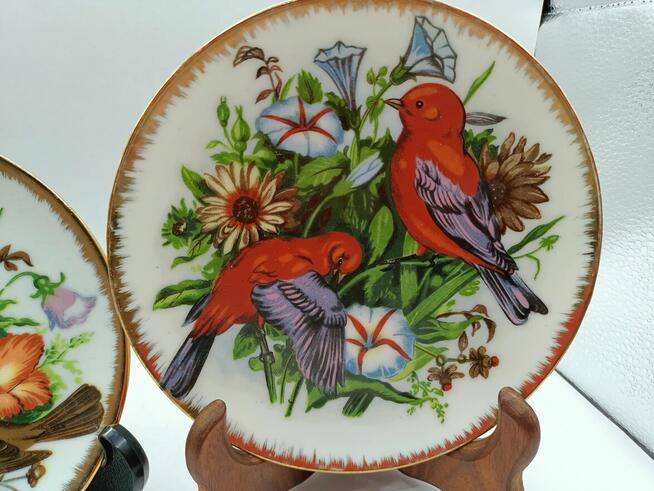 Dwa razy talerz kolekcjonerski ptaki na kwiatowym łąkowym tl