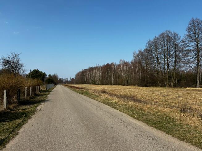 Klimatyczny dom pod lasem, OCIĘTE, 230 000 zł