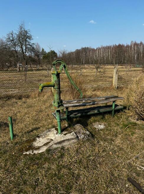 Klimatyczny dom pod lasem, OCIĘTE, 230 000 zł