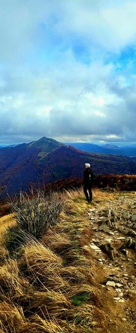 Szukam spokojnej przyjaciółki.