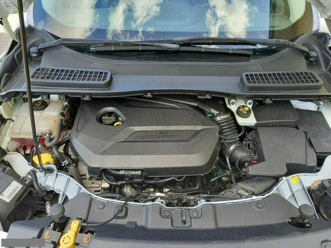 Ford Kuga 1.6Benz 150KM Titanium Navi Pół-Skóry Grz.Fotele Park.Assist Zarejestr